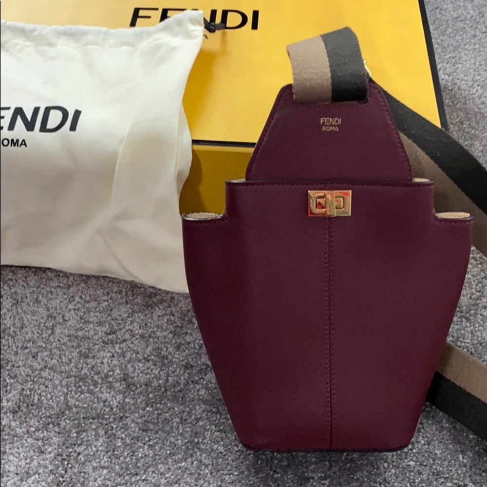 Fendi guitar bag